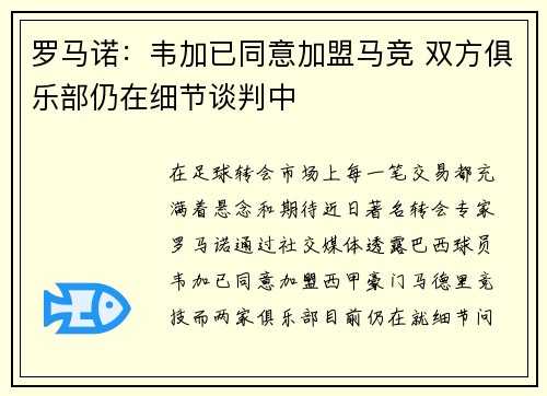 罗马诺：韦加已同意加盟马竞 双方俱乐部仍在细节谈判中